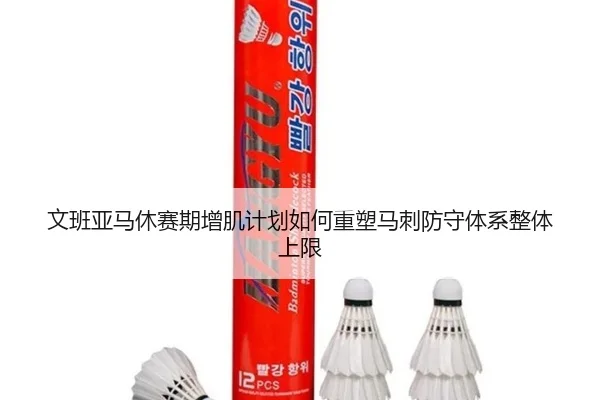 文班亚马休赛期增肌计划如何重塑马刺防守体系整体上限